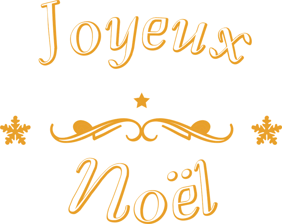 Motif Joyeux Noël calligraphié